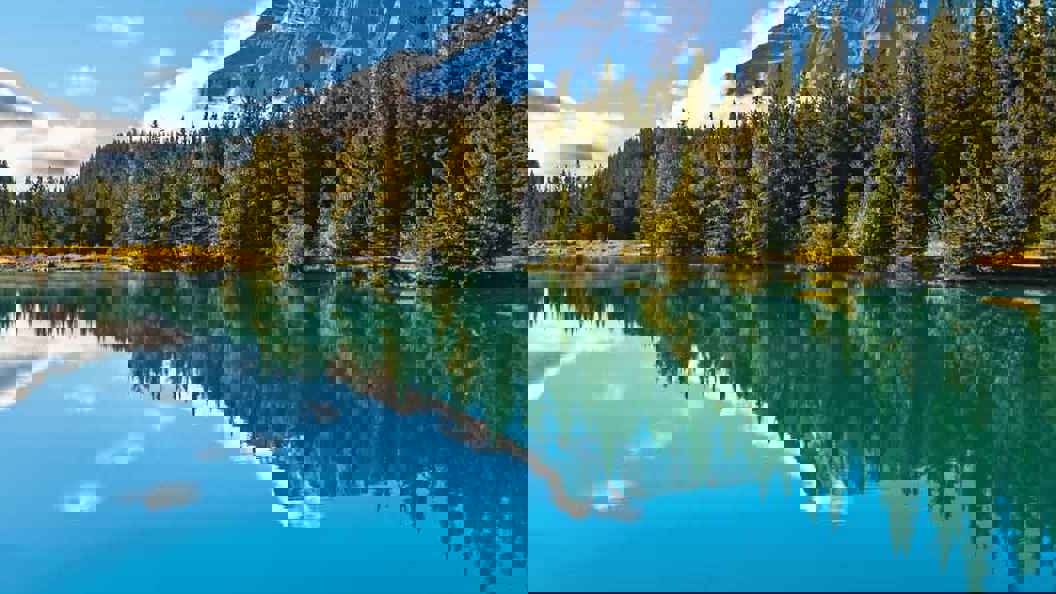 Afbeelding van (Re)framing the future: je dienstverlening toekomstbestendig in 4 stappen