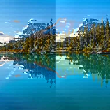 Afbeelding (Re)framing the future: je dienstverlening toekomstbestendig in 4 stappen